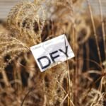 Common mistakes to avoid when starting a print on demand shop